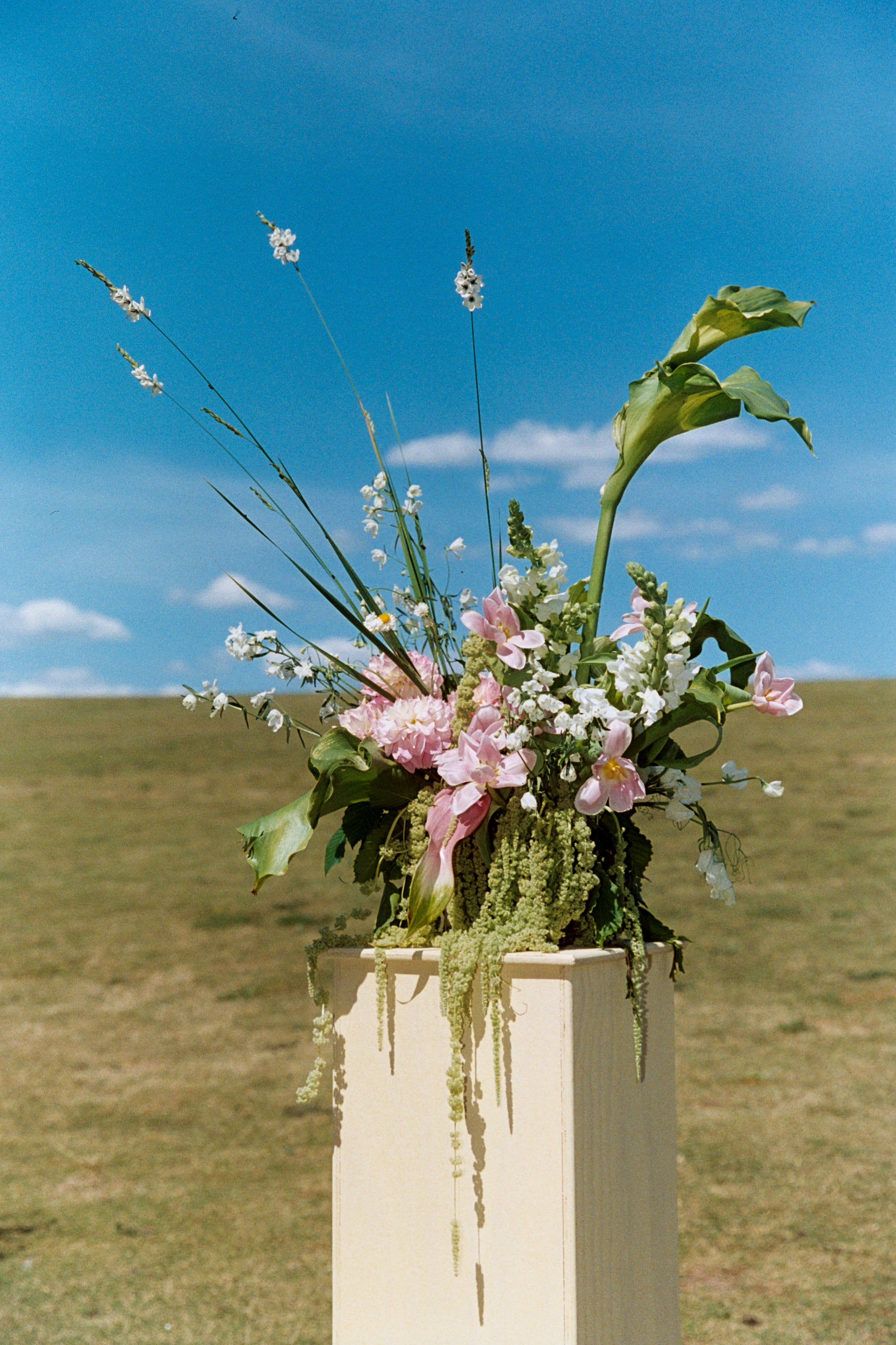 Feature Vase Arrangement