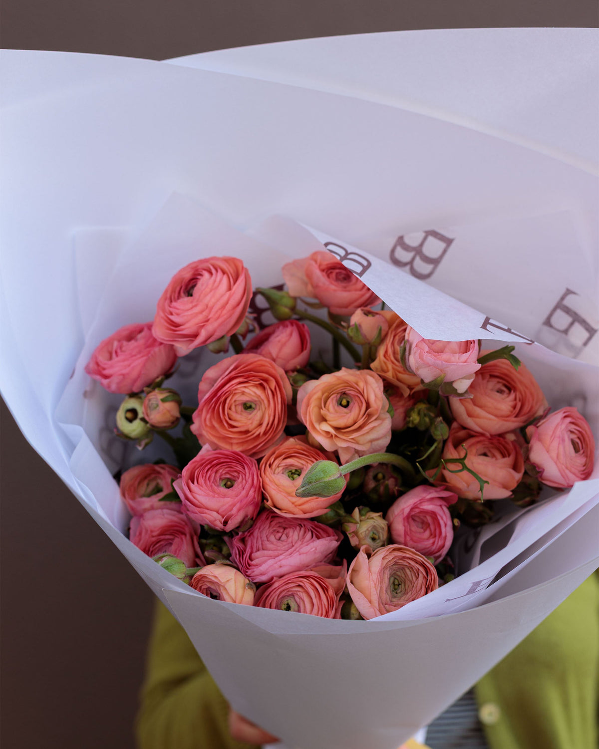 Spring Ranunculus En Masse