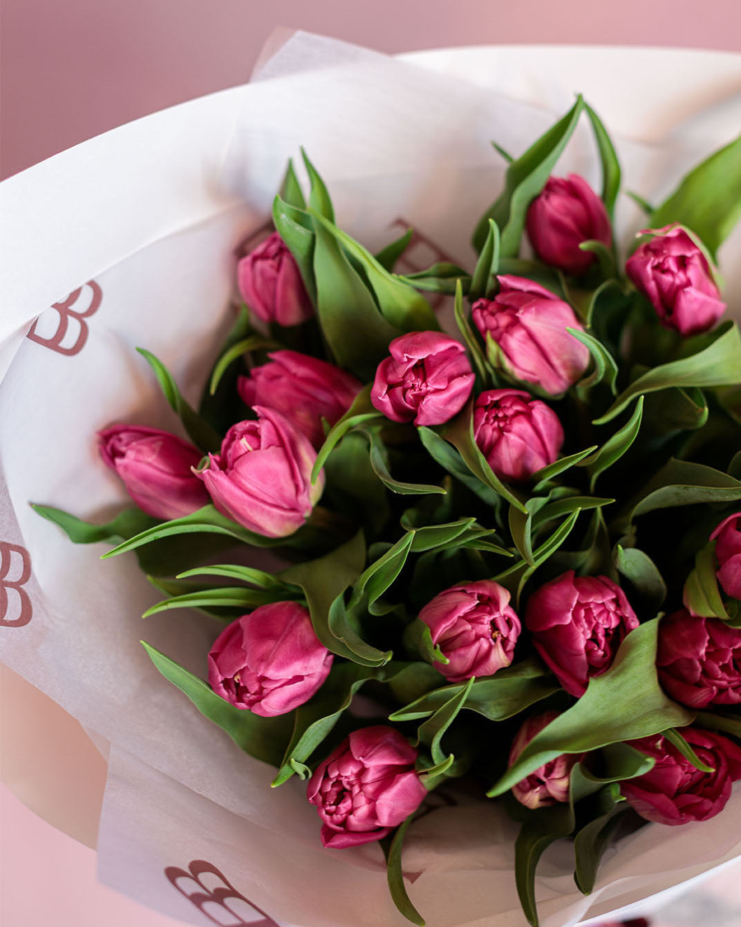 Morning Market Tulips
