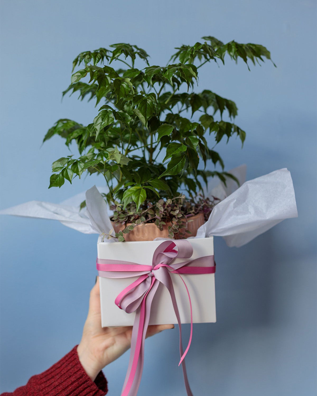 Botanical Bliss