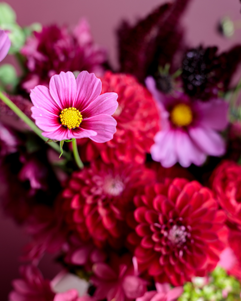 Cupid's Pick Vase Arrangement