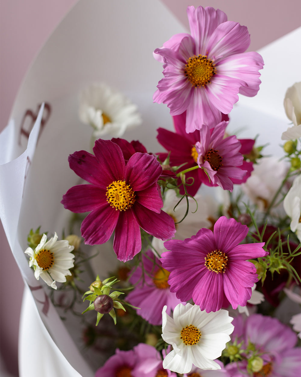 Bouquet of pink, white, and purple flowers in a white container.