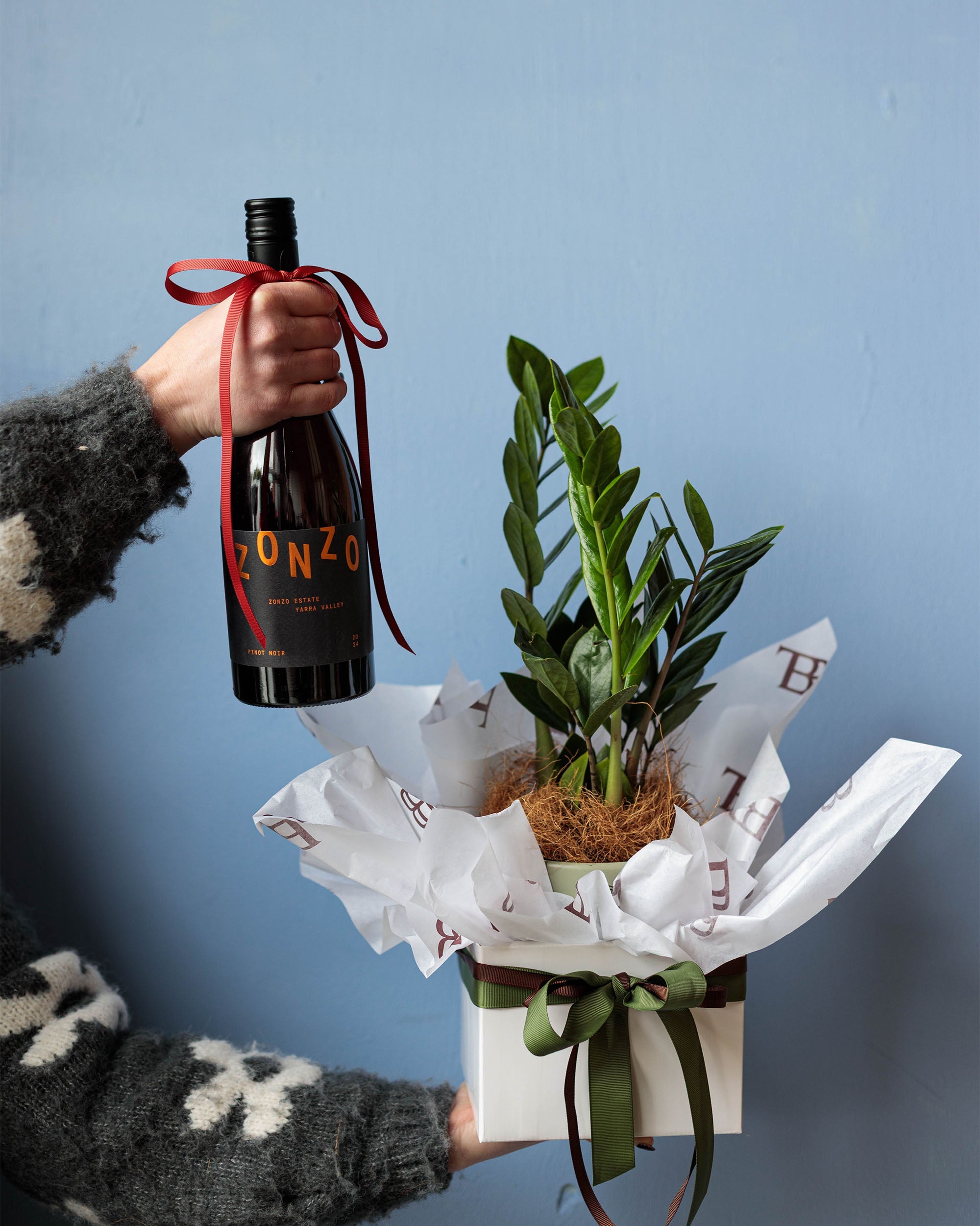 Pinot & Plant