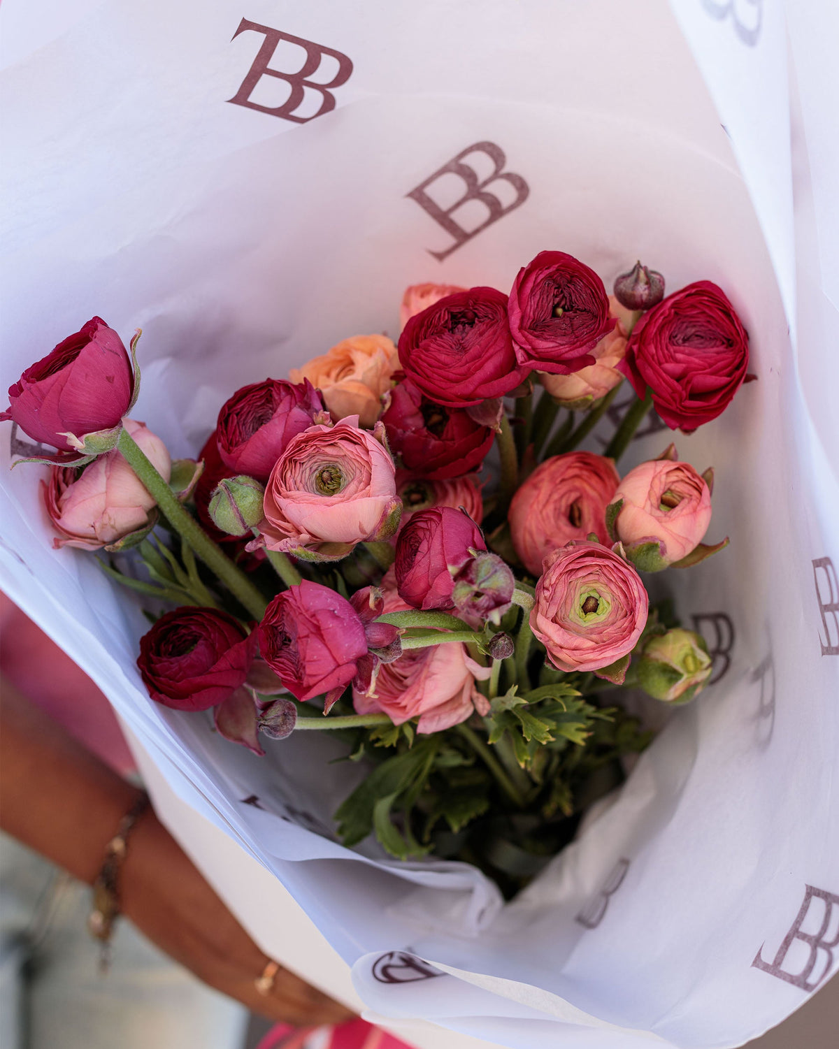 Spring Ranunculus En Masse