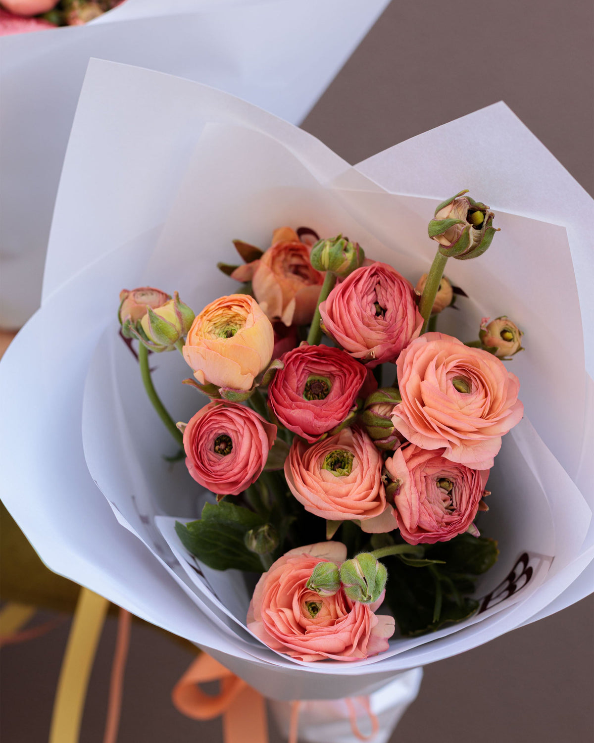 Spring Ranunculus En Masse