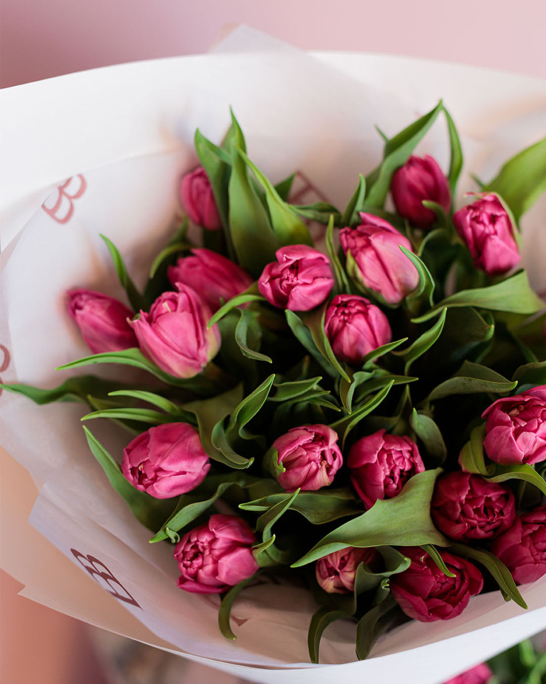 Morning Market Tulips