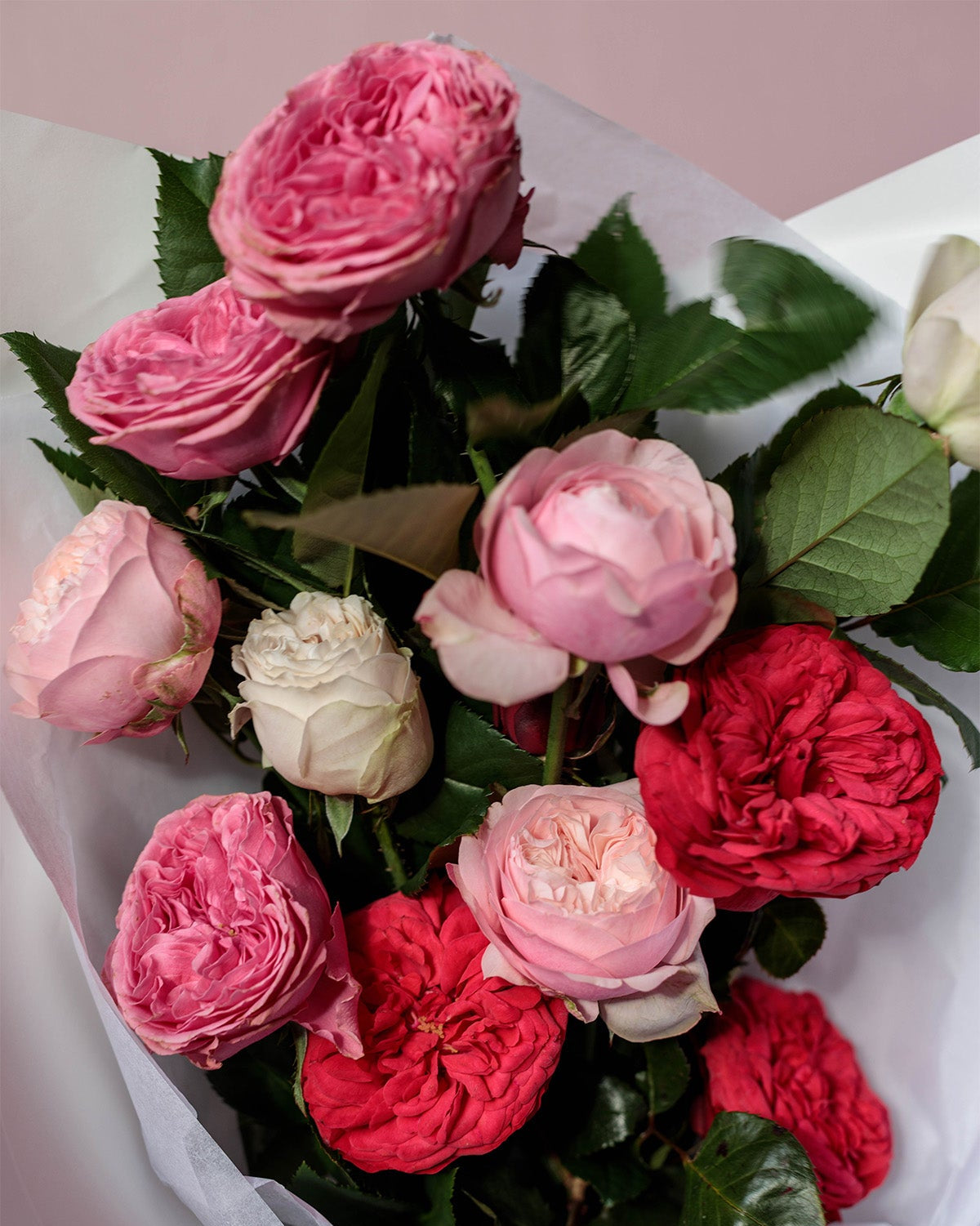 Morning Market Roses