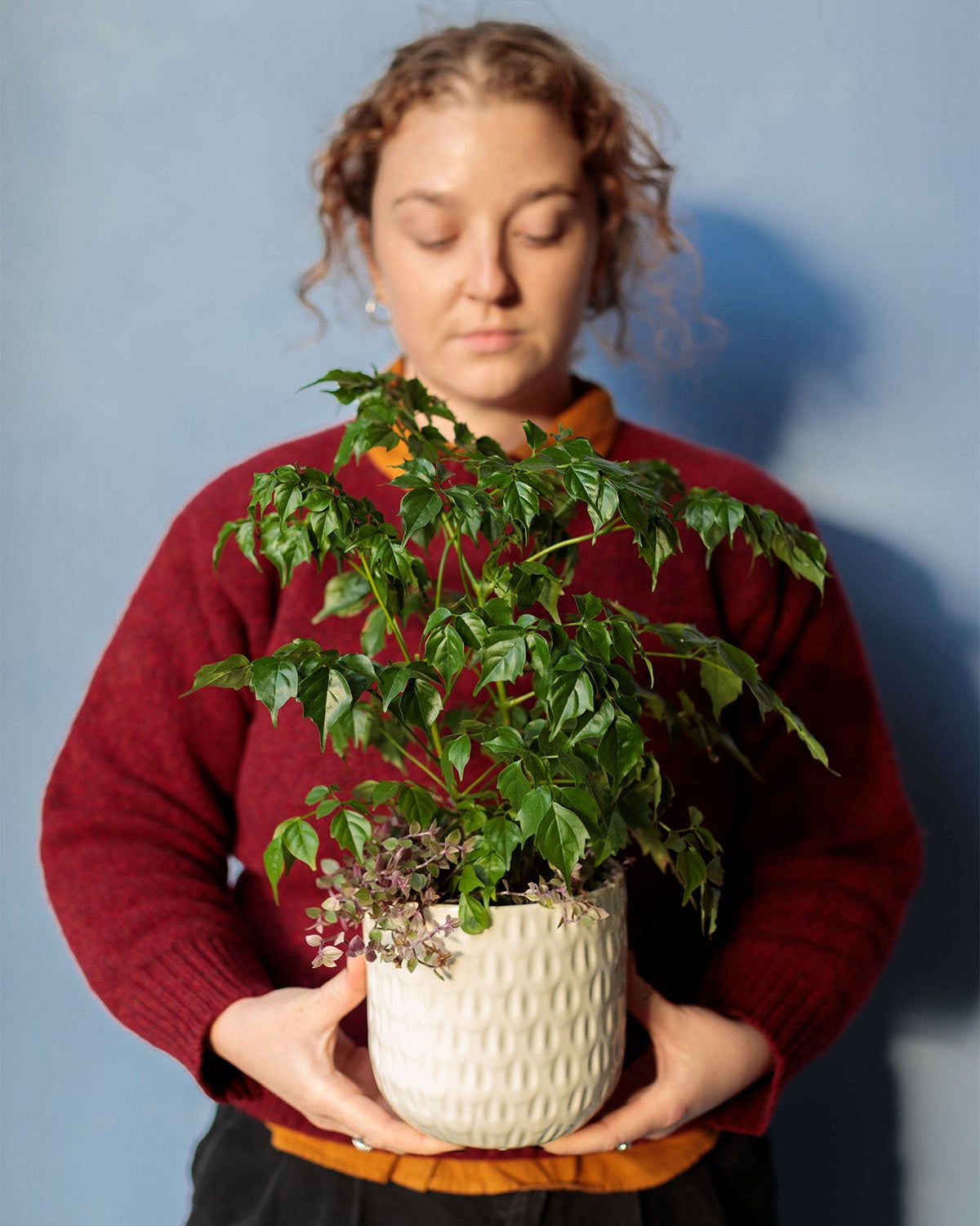 Botanical Bliss